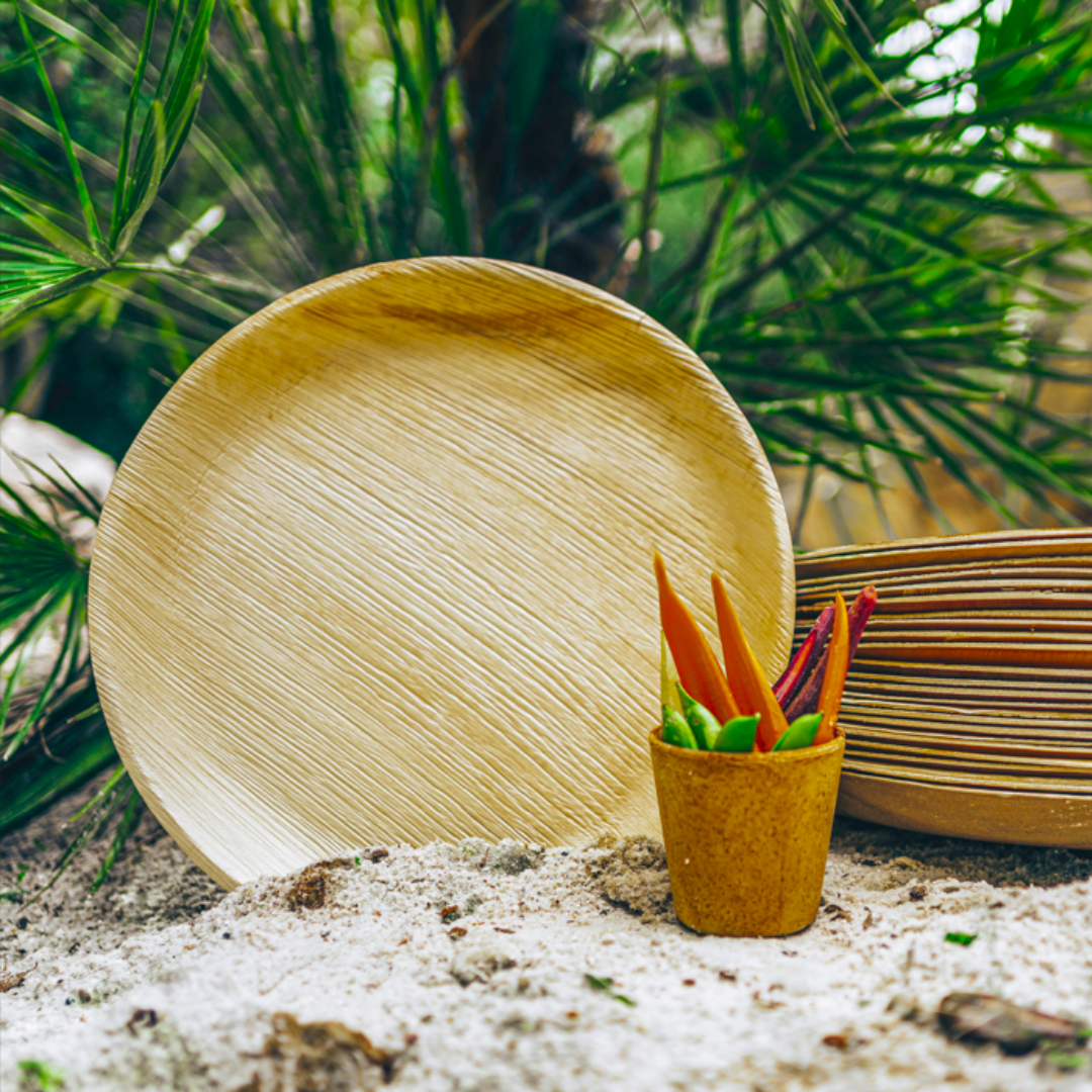 areca palm leaf plate Plates/Platters - Palm leaf natural biodegradable round 12 in