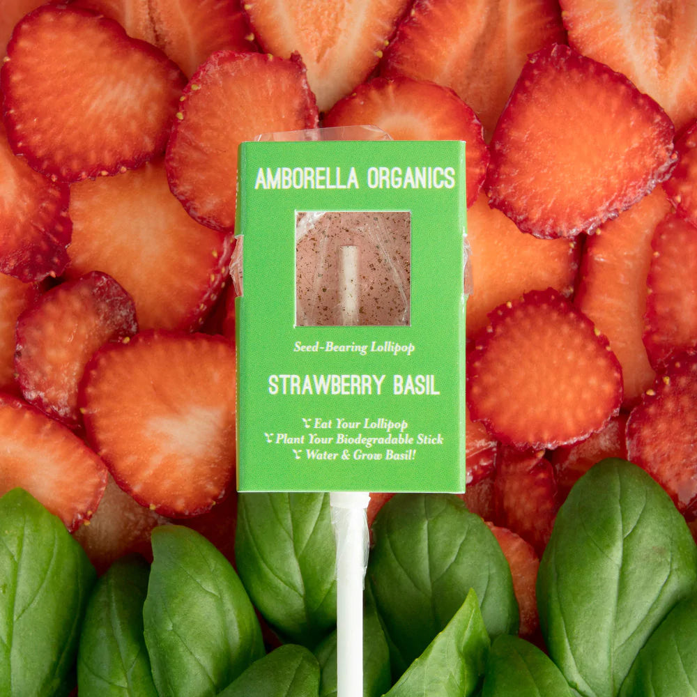 "You're the Sweetest" card with Lollipop/ Plantable Stick:  Strawberry & Basil