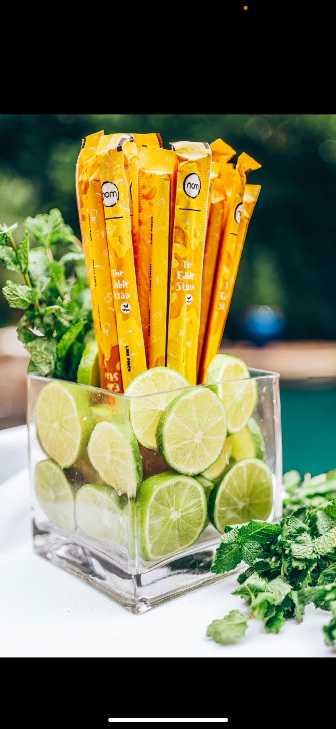 Straws - Edible 12 pack