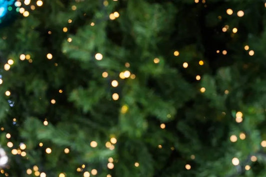5 Easy Ways to Throw an Eco-Friendly Holiday Party