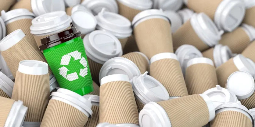 7 Reasons to Feel Fantastic About Ditching Disposable Plastic