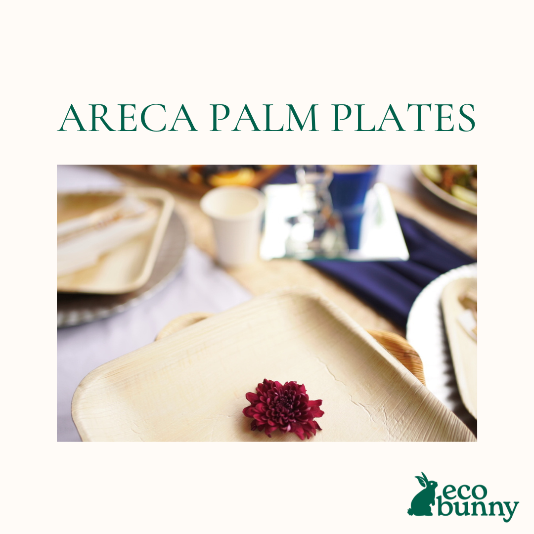 Plates - Palm Leaf 10in square - 25 Count