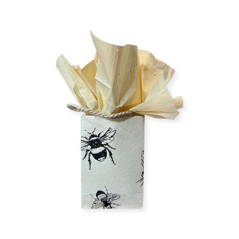 Gifting - Gift Bag, Plantable with Seeded tissue paper included, Small 3 Count