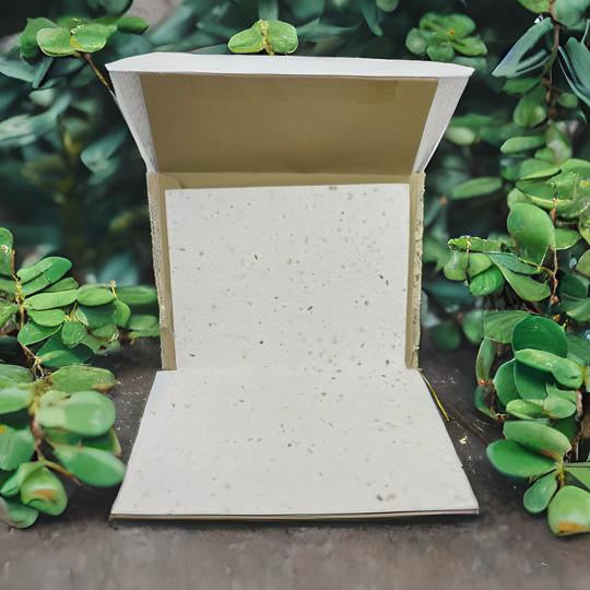 Gifting - Blank Thank you Card, Plantable